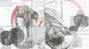 We've put together our 28 Day Full Body Training Circuit & We're giving it away for FREE! | Lean Muscle Bound