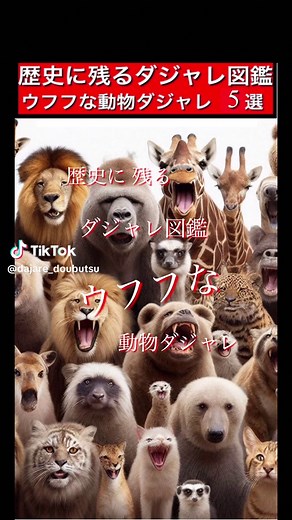 歴史に残るカバのダジャレ集