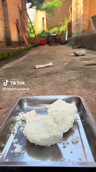 Doga ASMR: Chien Kap Manje