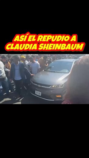 6.8K reactions · 770 shares | Paul Pellón on Reels | Facebook