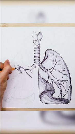 How to Draw Lungs Easy #shorts