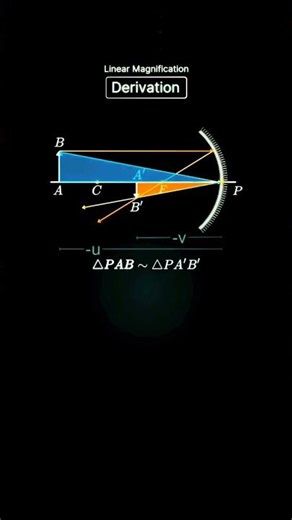 Darivation of linear magnification physics class 12 chapter Ray optics #physics #animation #shorts