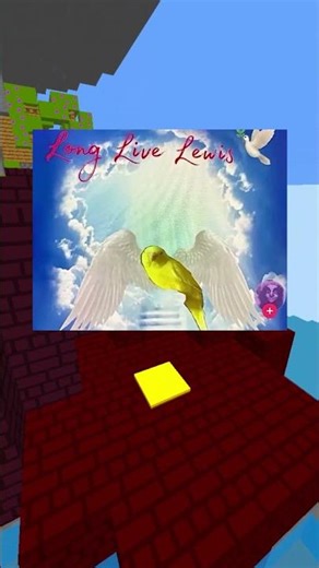 do birds become angels? 🤔🐤