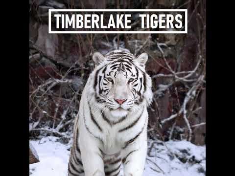 TMS TigerTV Live Stream