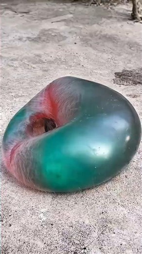 Water Balloon Pop in Ultra Slow Motion 💦💥 #WaterBalloonPop #SlowMotion #ViralShorts