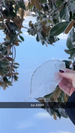 #asmr #winter #winterstormfern#icestorm