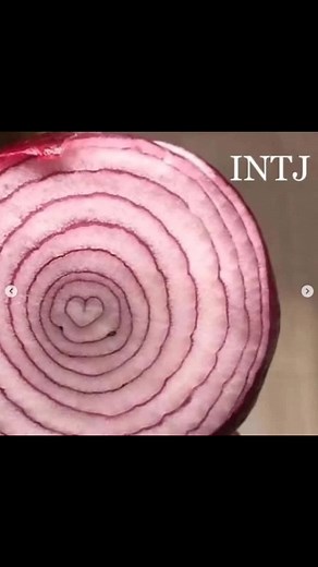 A lil collection of mine #foryou #intjmemes #16personalities #intj #mbti #intjpersonality #entpmemes #entp #briggs #myers #myersbriggs
