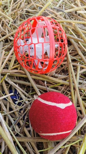 Most expensive ball. #ball #shortvideo