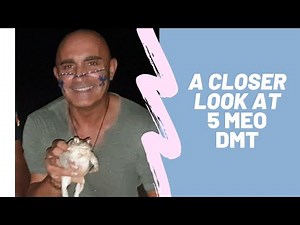 A closer look at: Bufo Alvarius ceremonie 5meo Dmt - By Vicente Lopez