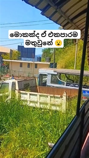 😕 මොකක්ද ඒ #travel #automobile #tour #bus #busrace #music #trending #driving #shortsfeed #shorts