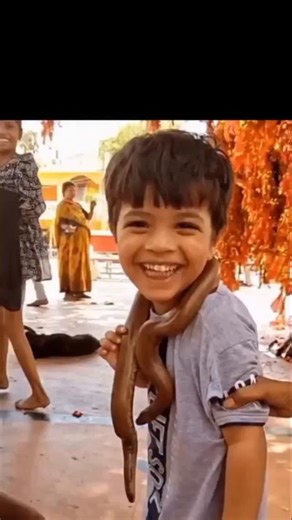 axyrola on Instagram: "Follow for more #axyrola . This video captures a breathtaking and dramatic moment that has gone viral instantly. It shows a young boy bravely standing with a snake wrapped around his neck. While he starts with a nervous look, he soon gives an adorable, innocent smile that captures everyone's heart. However, the real climax happens at the very end when the fear finally kicks in, and he breaks into tears. 2,704 203K As of today, February 9, 2026, this clip is spreading like 