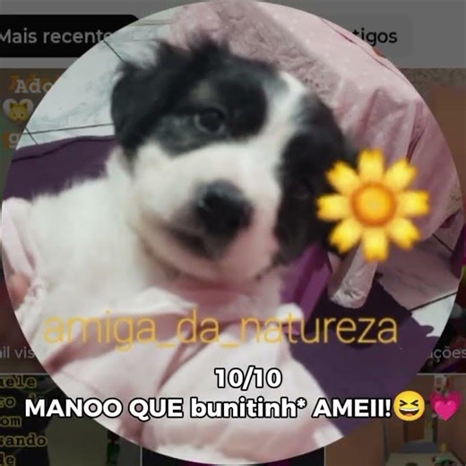 avaliando foto de perfil de vcs parte 3 !❤