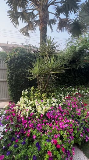 Spring Gardening on Reels