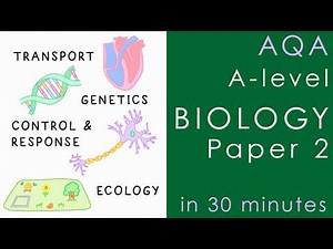 All of AQA BIOLOGY Paper 2 in 30 mins - A-level Biology