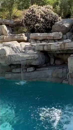 Custom Rock pool ￼