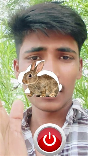 लाल बटन को दबाएं #trendingshorts #plazz #viral #dpg