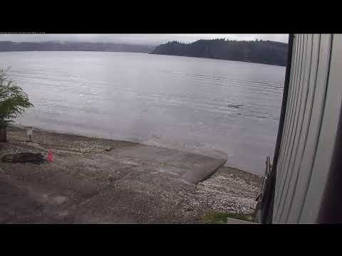 Hood Canal Communications - Union Boat Ramp