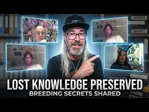 Breeding Discussion ft. Ryan Lee, SunGrownMidz, & Mean Gene w/ Chad Westport : Spider Farmer