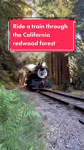 Explore the Magical Redwood Forest on the Skunk Train in Fort Bragg