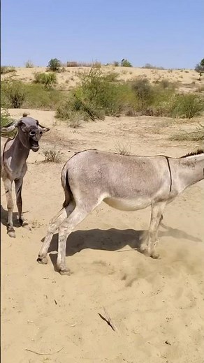 #janwar #tips #youtubeshorts