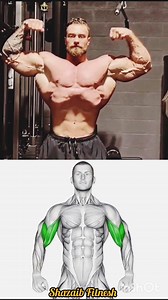 5 Killer Biceps Moves for Explosive Arms | 15-Day Transformation Workout! 📌 Description: Want biceps that pop out even under a T-shirt? This video gives you the 5 most powerful biceps exercises that build insane peak, brutal pump, and next-level definition. Follow these moves for 15 days straight and watch your arms turn into pure power! Exercises Included: 1. Standing Concentration Curl 2. Dumbbell Bent-Over Curl 3. Dumbbell Split Stance Biceps Curl 4. Kettlebell Incline Biceps Curl 5. Kettleb