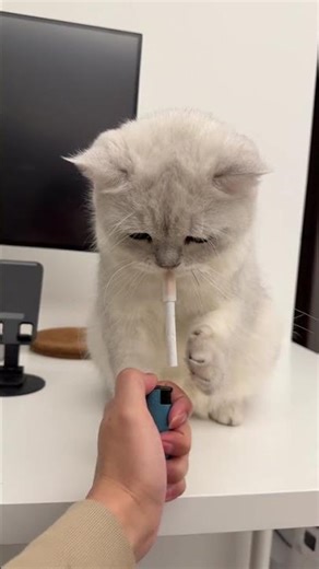 Don't Move, I'm Thinking: A Mind-Blowing Reveal