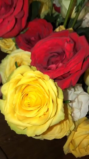 Roses for days!!! 🌹 #roses #valentines #bemyvalentine #preserving #flowers #smallbusinesscheck #silicagel #redroses