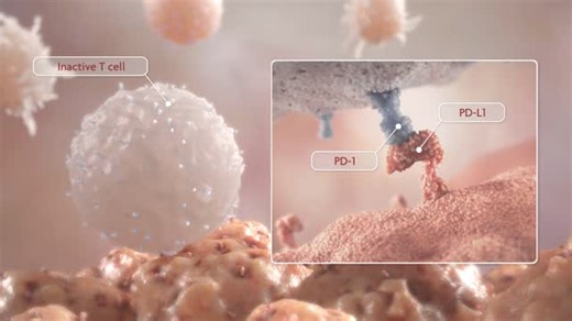 Medical Animation on Instagram: "Helix Animation (@helixanimation) brings cutting-edge science to life with a 3D Mode of Action animation illustrating the PD-1 pathway inhibitor. 🧬✨ Created in collaboration with long-term partners at MJH Life Sciences®—North America’s largest privately held medical communication and education platform—this highly engaging piece uses detailed modeling, motion, and narration to explain the immuno-oncology mechanism behind PD-1 inhibition. Explore more work by Hel