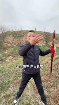 Unveiling the Enigma of Lady Qi: The Han Dynasty's Mysterious Beauty