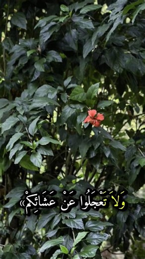 إذا حضر الطعام وأقيمت الصلاة #اللؤلؤ_والمرجان #البخاري #مسلم #النووي #الحديث #hadeeth