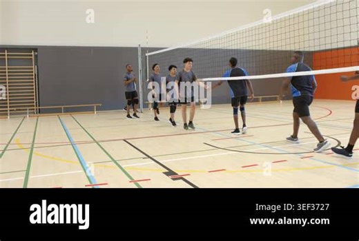 Gray-shirted team shaking hands at net with blue-and-black team after set showing fair play in gym. Athleticism, sportsmanship, teamwork, competition, camaraderie, fitness, active Stock Video Footage - Alamy