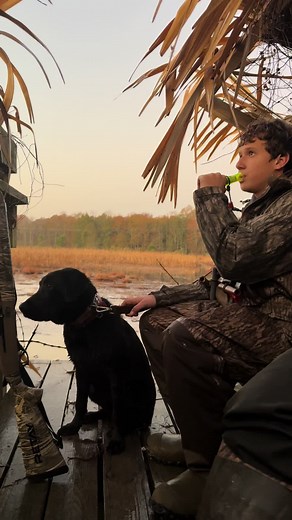 Mastering Duck Calls: A Beginner's Guide