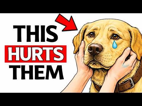 7 Daily Ways You're HURTING Your Dog's Feelings (STOP THEM NOW)
