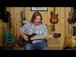 PRS Dustie Waring CE 24 Floyd