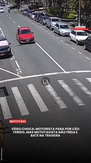 DIÁRIO DE ALAGOAS on Instagram: "⚠️ Conteúdo sensível: animal ferido (pata amputada) e acidente de trânsito. Um vídeo que circula nas redes mostra um cachorro com a pata traseira amputada tentando atravessar a rua em um sinal de trânsito. 🐶⚠️ Ao perceber o animal, uma senhora em um carro vermelho para no sinal, aparentemente para evitar atropelar o cachorro e permitir a travessia. Logo atrás, um mototaxista não consegue parar a tempo e colide na traseira do carro, gerando susto e discussão sobr