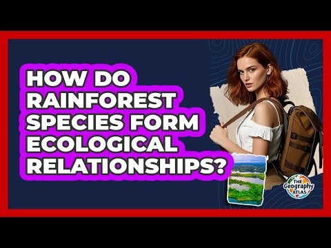 How Do Rainforest Species Form Ecological Relationships?