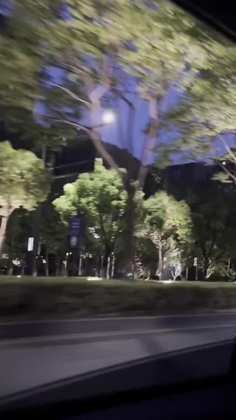 你站的好远 听不到我心里的那片海.#emo #文案