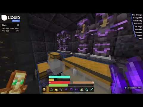 Best DONUTSMP Liquid Bounce Addon 7B+ STASH RAID WORKING