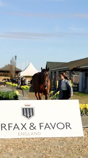 Tryon International on TikTok