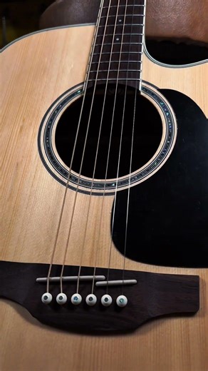 You deserve to level up! TAKAMINE GUITARS