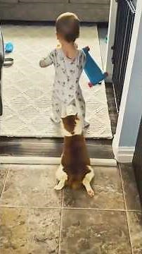 Cats vs Baby Compilation! 😹👶