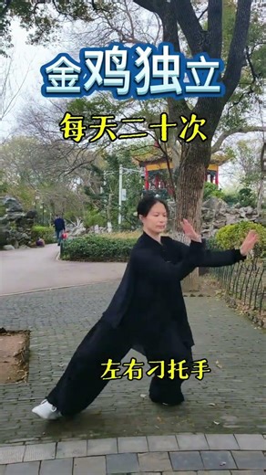 One-Legged Golden Rooster Dances: Flexibility & Balance Workout