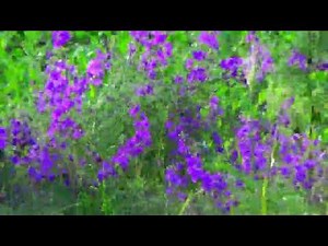 Mark Knopfler, Storybook Love, The Princess` Bride Theme Song, remix