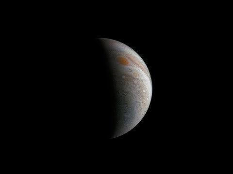 LSST Live Survey of Space and Time
