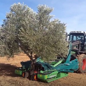 8.8M views · 16K reactions | This is how farmers get every last almond from a tree  | In The Know Innovation | Facebook