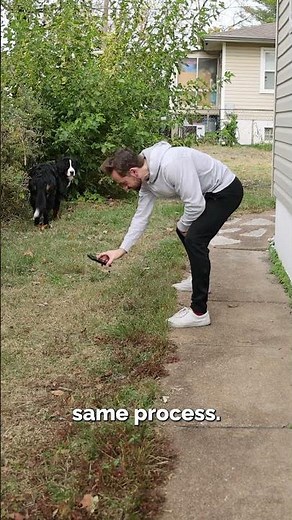 How to Create a Spin Transition in Premiere Pro