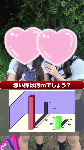 赤い棒は何メートルですか！？ #インタビュー #クイズ #quiz #ストリートクイズ | Quiz