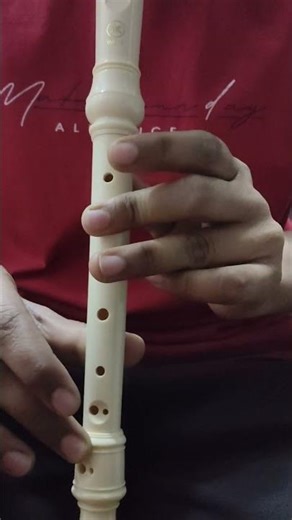 Day 12: Practicing ‘Baby Shark’ song on soprano recorder. #finewinemusic