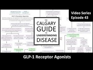 GLP-1 RAs (Semaglutide: Ozempic, Wegovy; Tirzepatide: Mounjaro, Zepbound) - How They Work