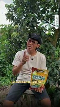 Ini dia tips agar tanaman alpukat cepat berbuah.